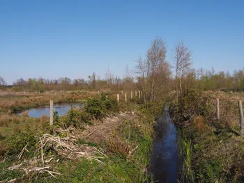 Kalkense Meersen (België)